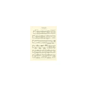 Bärenreiter Schubert Klaviersonaten II