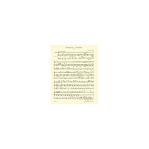 Bärenreiter Schubert Sonate D 821 Viola