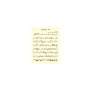 Bärenreiter Schubert Sonate D 821 Viola