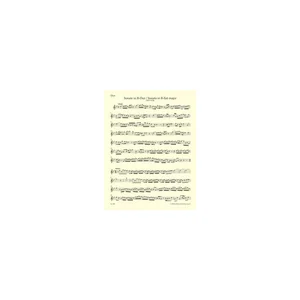 Bärenreiter Telemann Zwei Sonaten Oboe