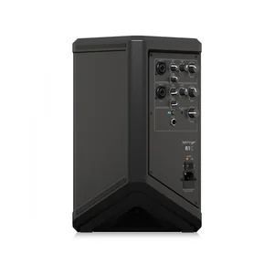 Behringer B1C