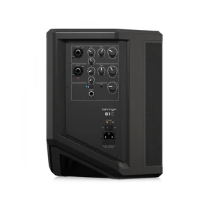 Behringer B1C