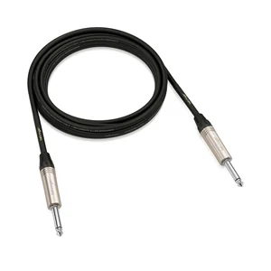 Behringer GIC-300