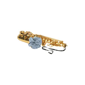 BG France A30 T Wiper Tenor Sax