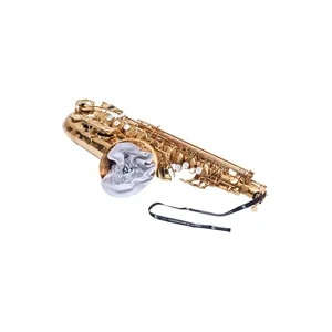 BG France A30A Swab Alto Sax / Bass Clar