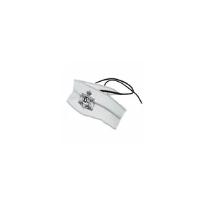 BG France A31T4 Mouthpiece Swab