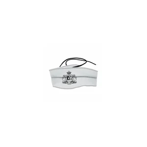 BG France A31T4 Mouthpiece Swab