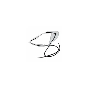 BG France A31T4 Mouthpiece Swab