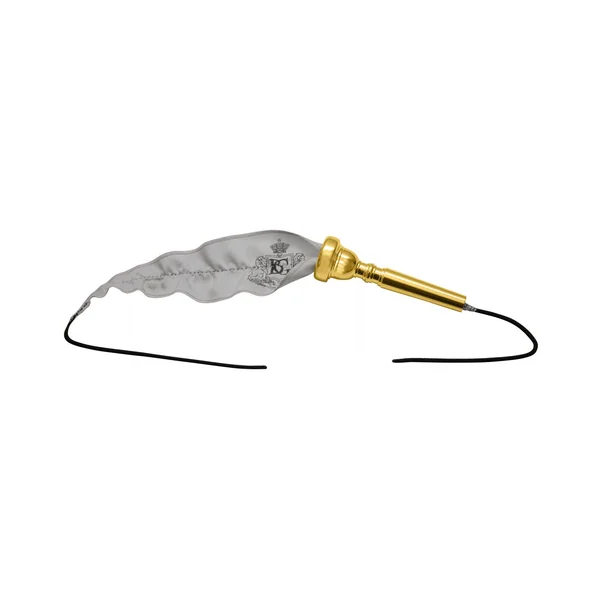 BG France A31T4 Mouthpiece Swab