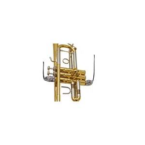 BG France A31T5 Valve Swab