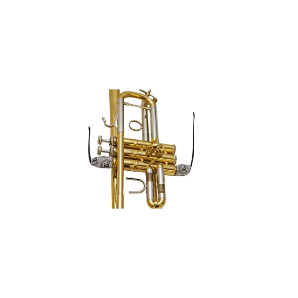 BG France A31T5 Valve Swab