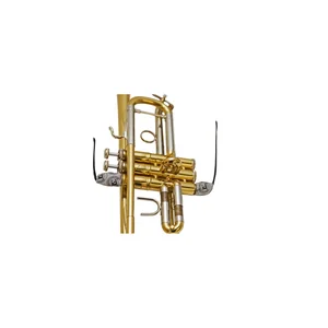 BG France A31T5 Valve Swab