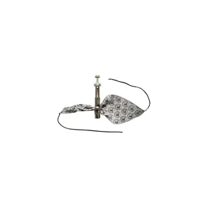 BG France A31T5 Valve Swab