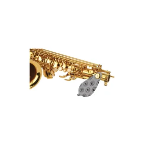 BG France A65SB Pad Cleaner Saxophone