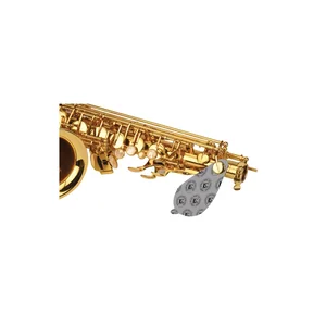BG France A65SB Pad Cleaner Saxophone