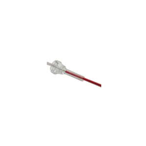 BG France AT Mouthpiece Brush