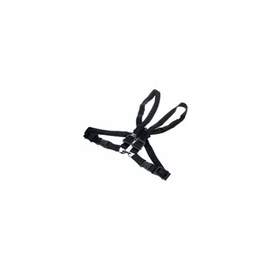 BG France S41M Strap Ladies
