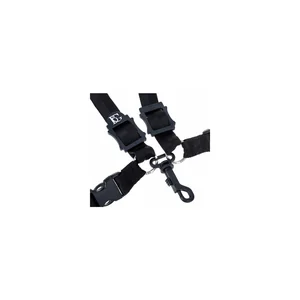 BG France S41SH Strap Ladies