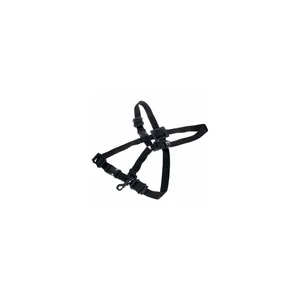 BG France S42SH Strap Children