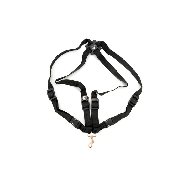 BG France S44MSH Strap Ladies XL