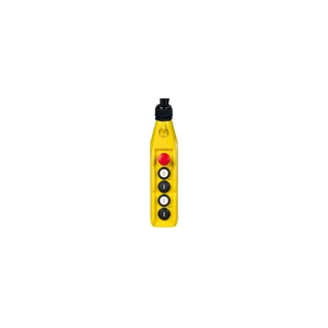 Botex 2 Ch. Chain Hoist Controller