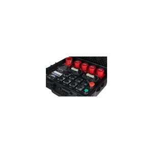 Botex CHC-8-B Chainhoist Controller