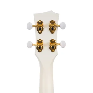 Cascha Carbon Concert Ukulele Set WH