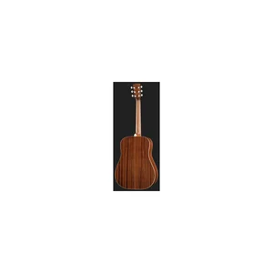Cort Earth 100 NS w/Bag