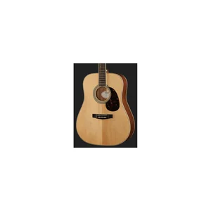 Cort Earth 100 NS w/Bag