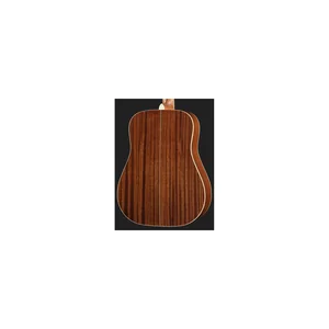 Cort Earth 100 NS w/Bag