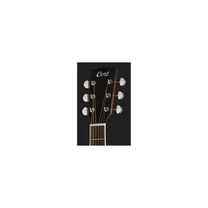 Cort Earth 100 NS w/Bag
