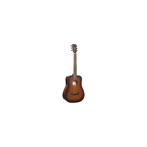 Cort Earth Mini GO