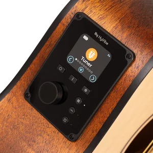 Cort Earth Mini GO