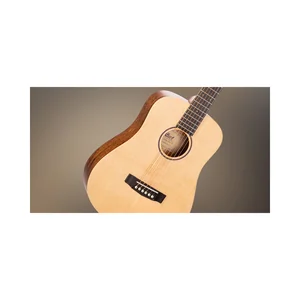 Cort Earth Mini