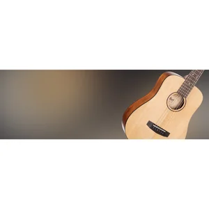 Cort Earth Mini