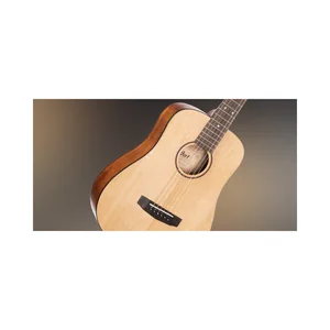 Cort Earth Mini