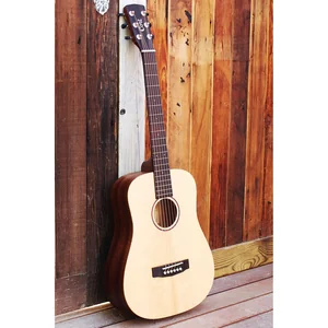 Cort Earth Mini