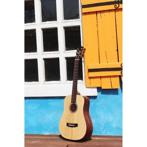 Cort Earth Mini