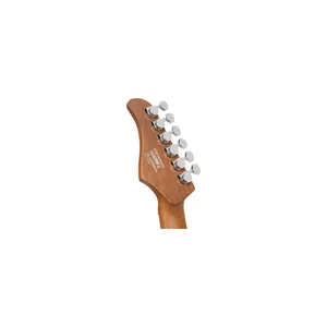Cort G290 Modern PGR