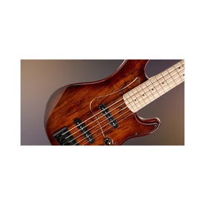 Cort GB-Fusion 5 ABB