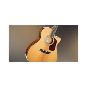 Cort Gold A6
