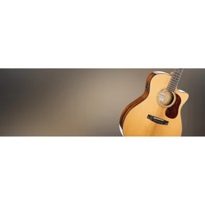 Cort Gold A6