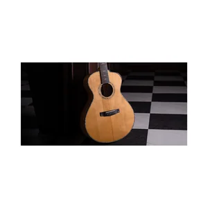 Cort Gold Passion