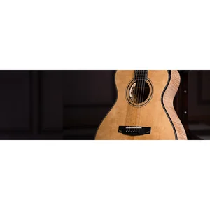 Cort Gold Passion