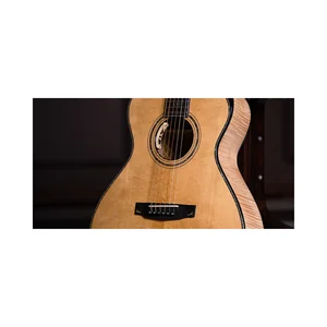 Cort Gold Passion