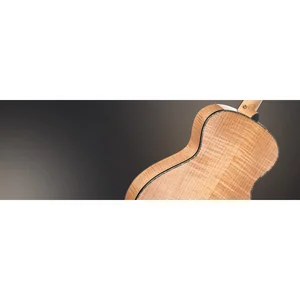 Cort Gold Passion