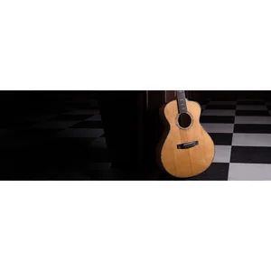Cort Gold Passion