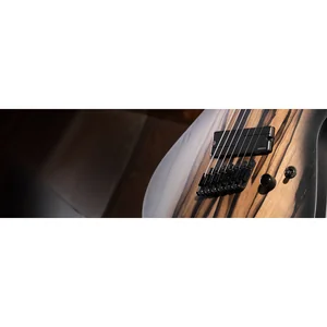 Cort KX507MS Pale Moon Ebony