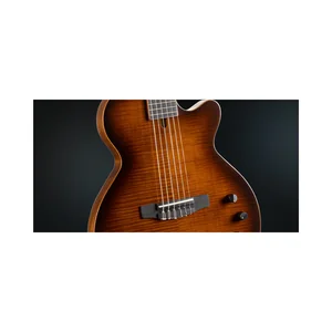 Cort Sunset Nylectric DLX