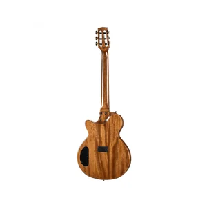 Cort Sunset Nylectric DLX